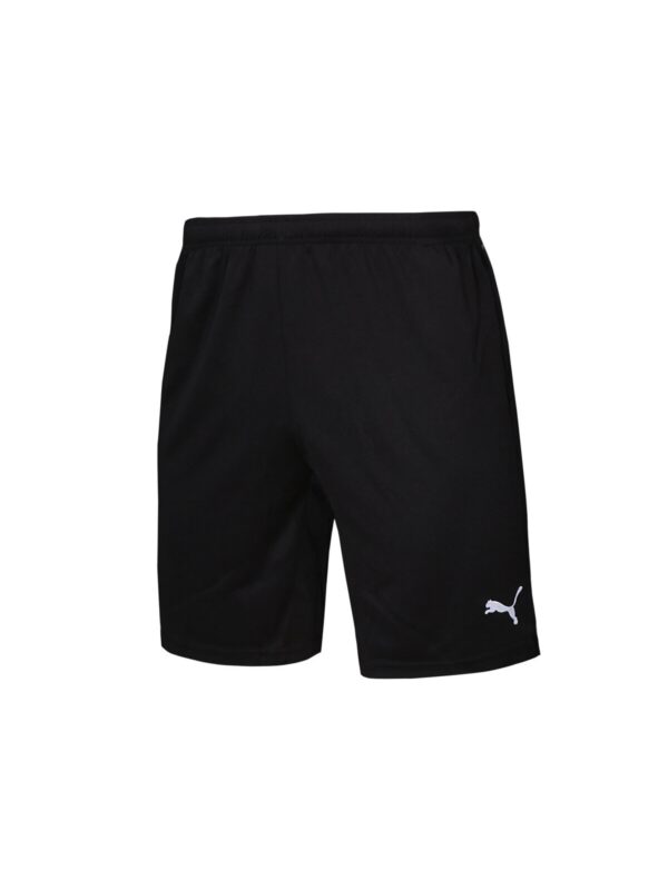 Puma Erkek Futbol Maç Şortu 65733603 Siyah